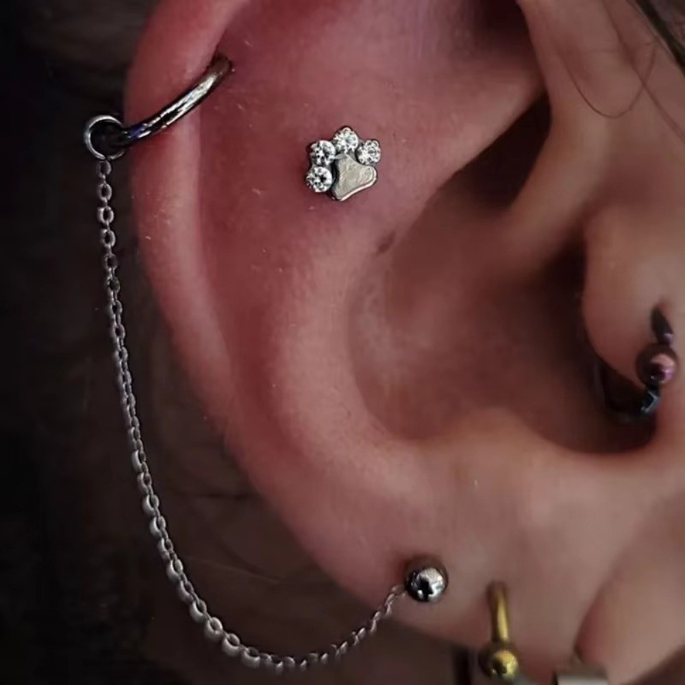 Tytanowy łańcuszek do nosa, tr – Body Jewelry Piercing recenzja i cena